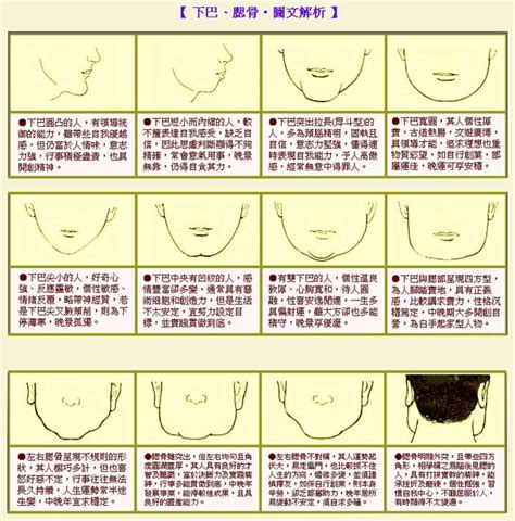 長下巴面相|面相分析下巴长的人